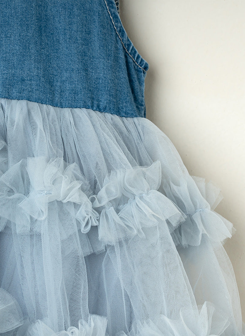 Denim and Tulle Dress
