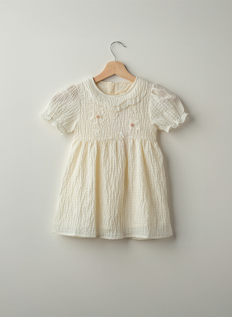 Ruffle Collar Dress