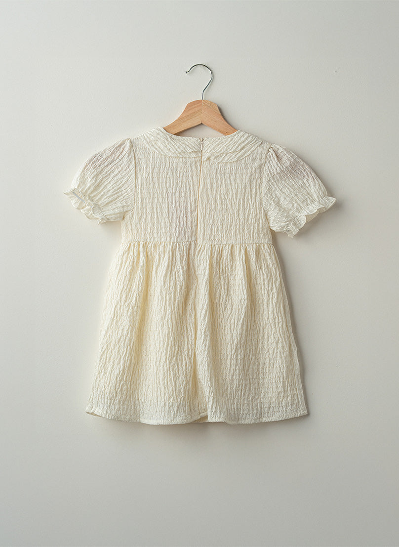 Ruffle Collar Dress